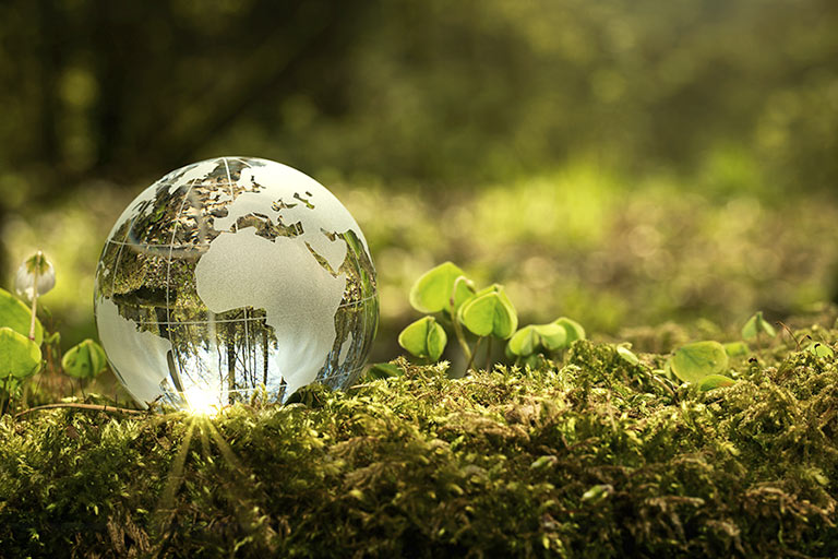 ZFG GYO Zfg Gyo Surdurulebilirlik Jpg 35 Jpg 509