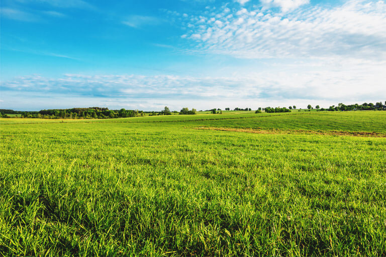 ZFG GYO ıklim Degisikligi Ile Mucadele Ve Uyum Politikasi Jpg 181
