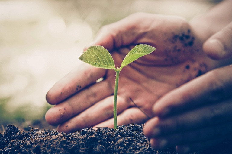 ZFG GYO Cevre Dostu Jpg 725